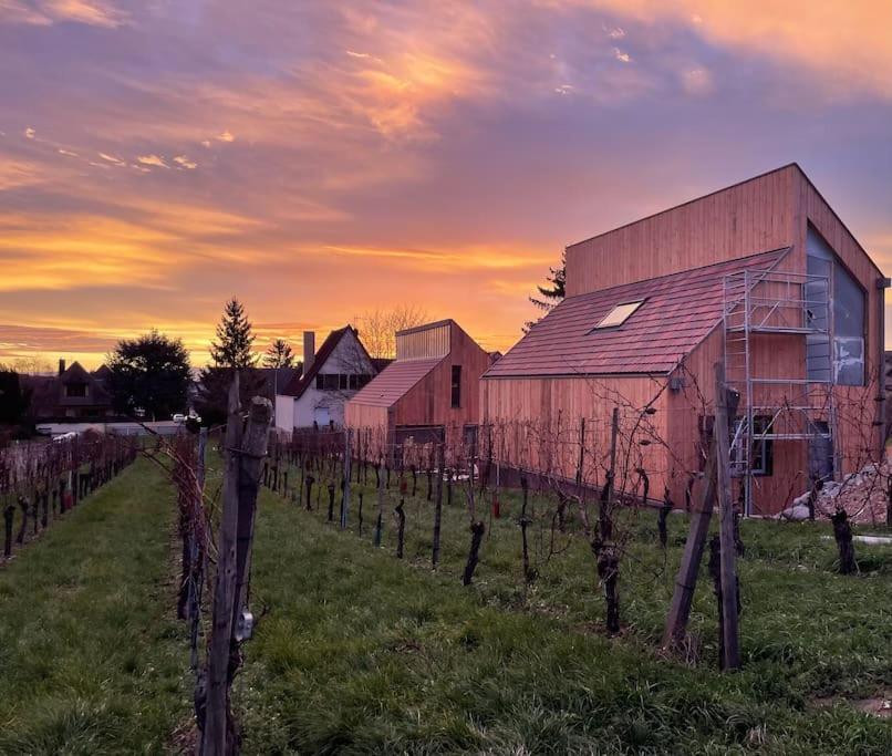 Le Cepage, Au Coeur Des Vignes. Villa Eguisheim Ngoại thất bức ảnh