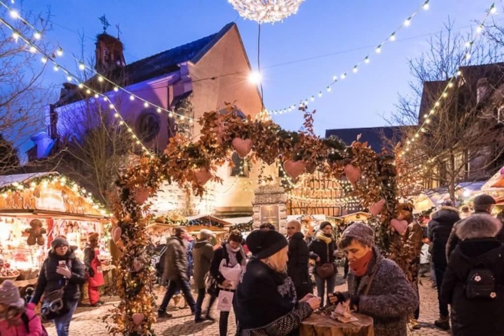 Le Cepage, Au Coeur Des Vignes. Villa Eguisheim Ngoại thất bức ảnh